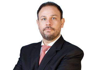 Gonzalo Ferrer Cárdenas